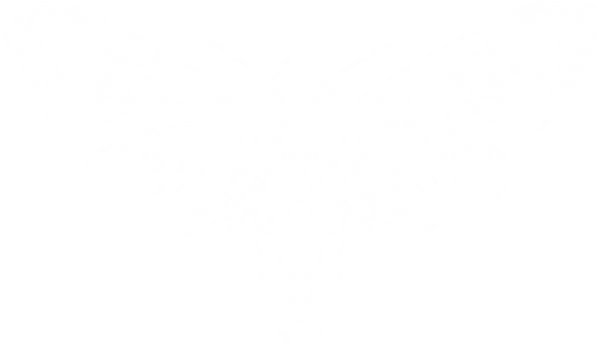 Mothica US